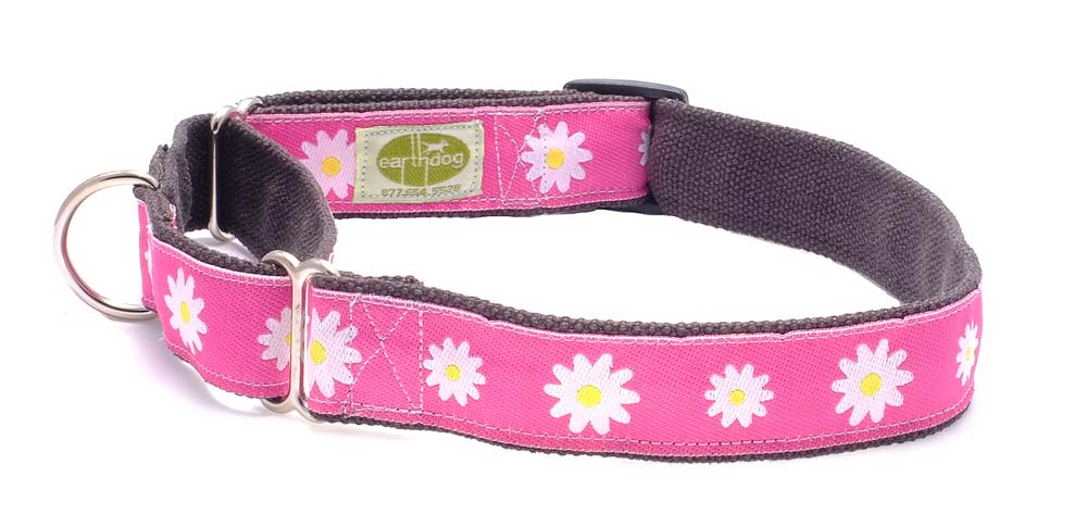 Earthdog Martingale H Dog Collar, Astrid II