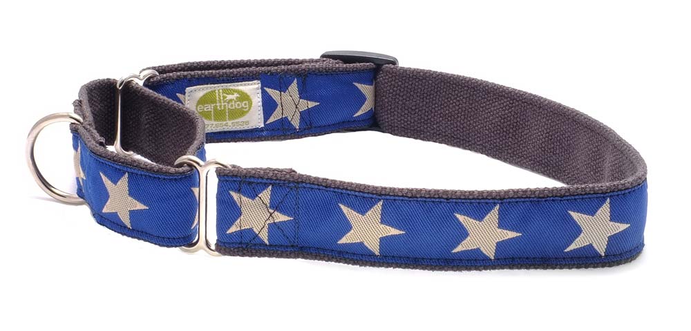 Earthdog Martingale H Dog Collar, Kody III, Small