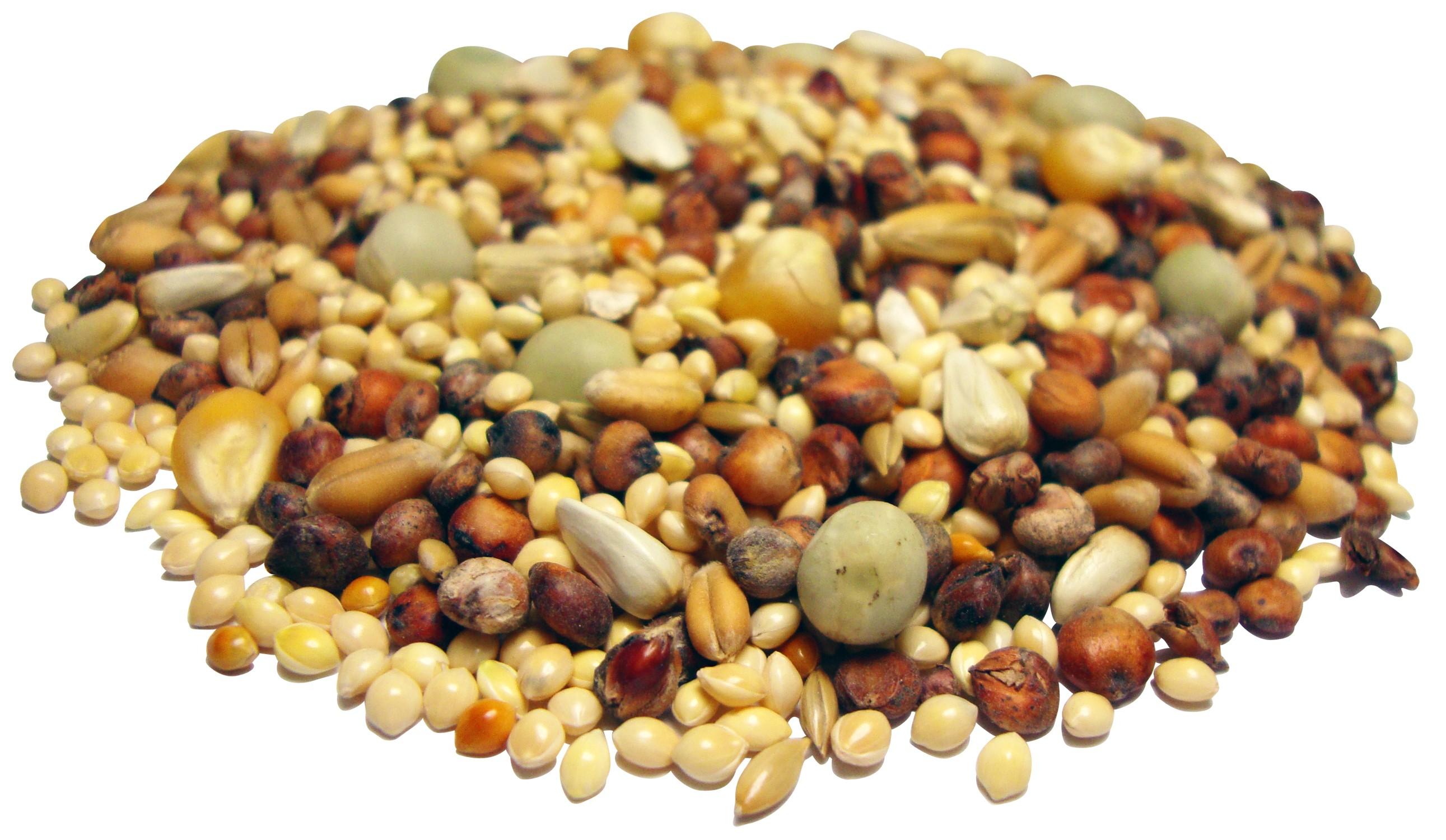 Star Milling Co. Dove & Quail Mix Bird Food, 25-lb