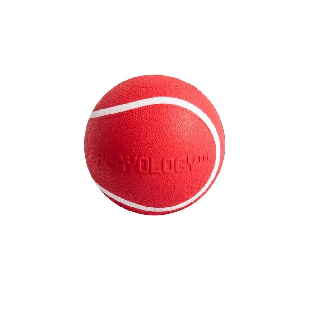 Playology Squeaky Chew Ball Beef Scented Dog Toy, Small