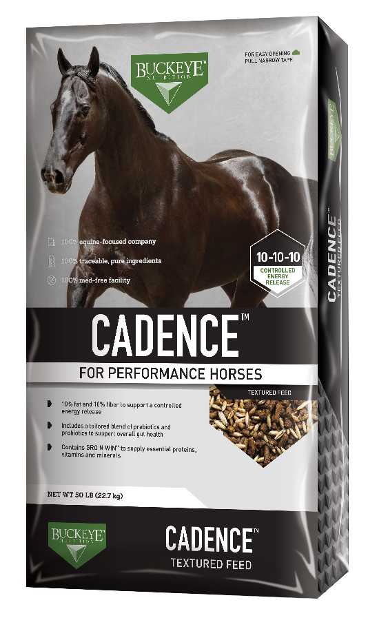Buckeye Cadence