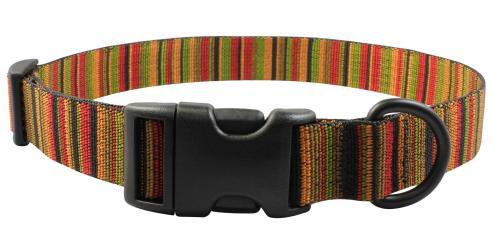 Bison Designs Adjustable Dog Collar, See Spot, 1-in x 15-24-in