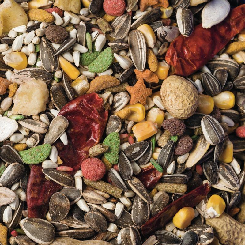 Scarlett Nutra Parrot Bird Food, 3.5-lb