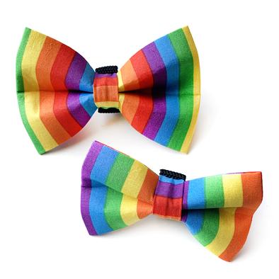 Winthrop Clothing Hand-Made Bow-Ties, Rainbow, Large