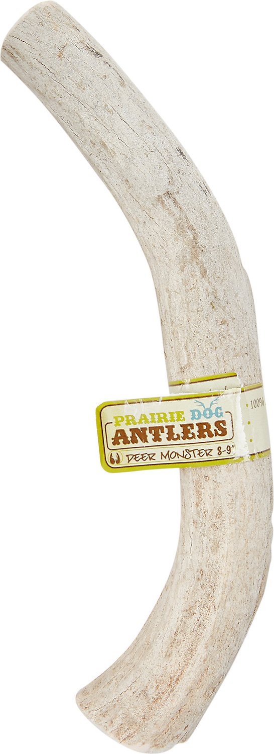 Prairie Dog Deer Antlers Monster Dog Chews
