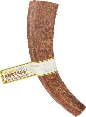 Prairie Dog Deer Antlers Monster Dog Chews, 6 - 7 in