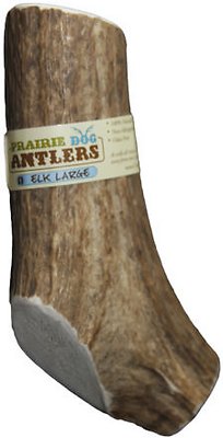 Prairie Dog Elk Antlers Dog Chews, 5 - 6 in