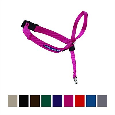 PetSafe Gentle Leader Quick Release Dog Headcollar, Raspberry, Petite