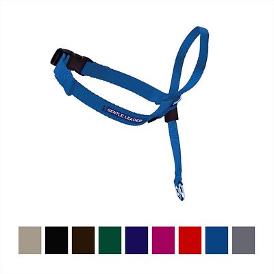 PetSafe Gentle Leader Quick Release Dog Headcollar, Royal Blue, Medium