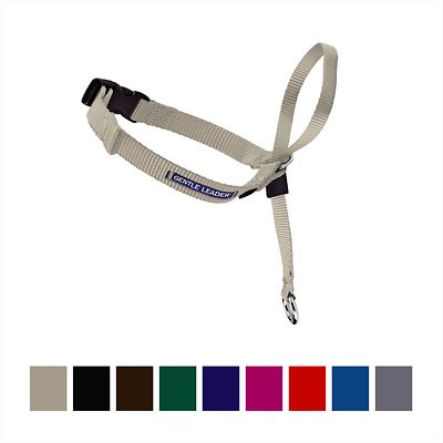 PetSafe Gentle Leader Quick Release Dog Headcollar, Fawn, X-Large
