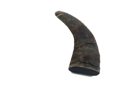 Krijon LLC Advanced Pet Products Water Buffalo Horn, Medium