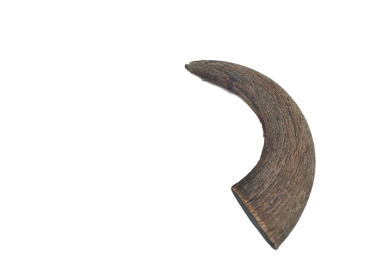 Krijon LLC Advanced Pet Products Water Buffalo Horn, Small