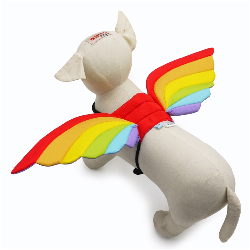 Dogo Rainbow Wings