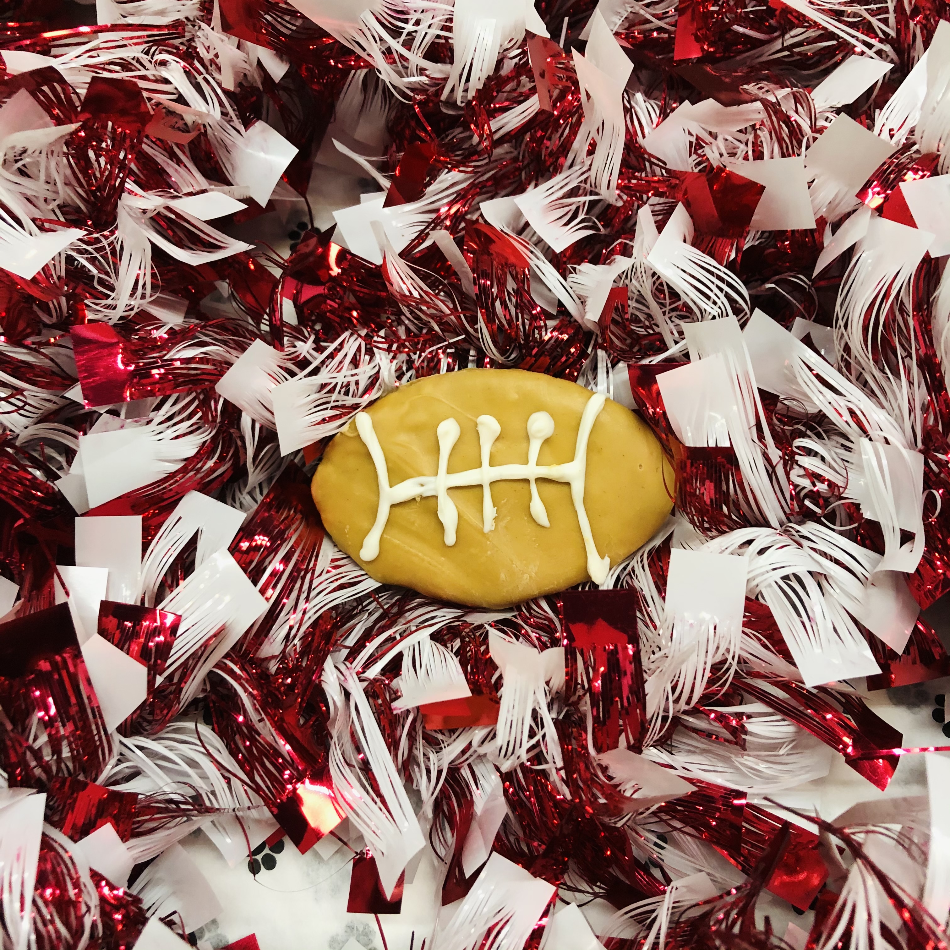 Lucky Dog Outfitters Bakery Game Day Football Dog Treat