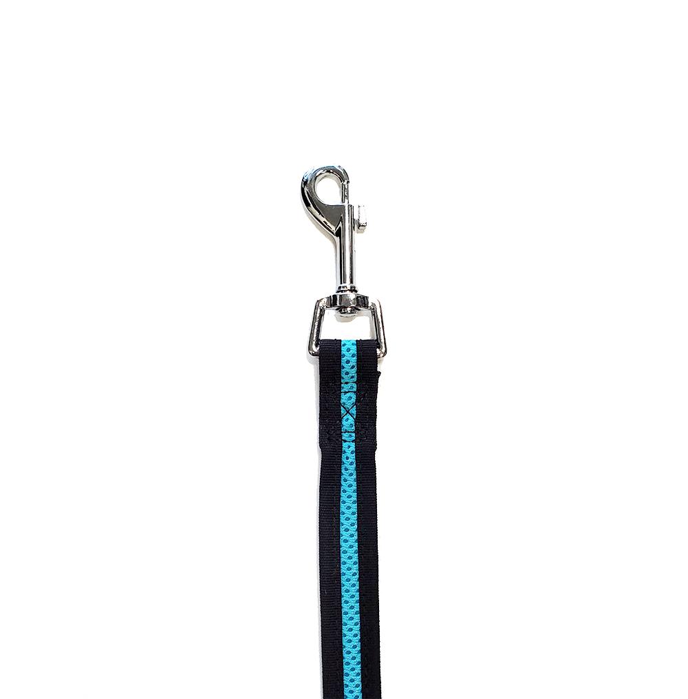 Bark Appeal Mesh Dog Leash, Aqua Blue
