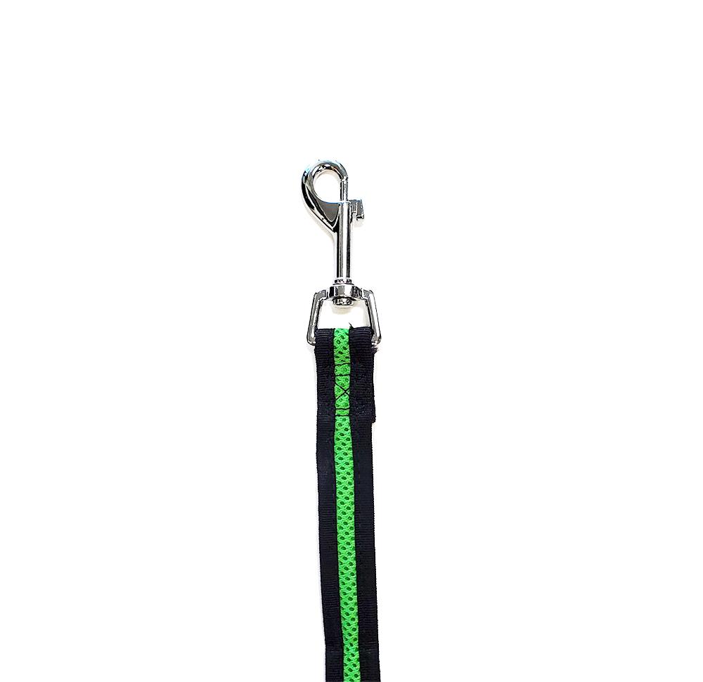 Bark Appeal Mesh Dog Leash, Green, 3/4-in x 5-ft