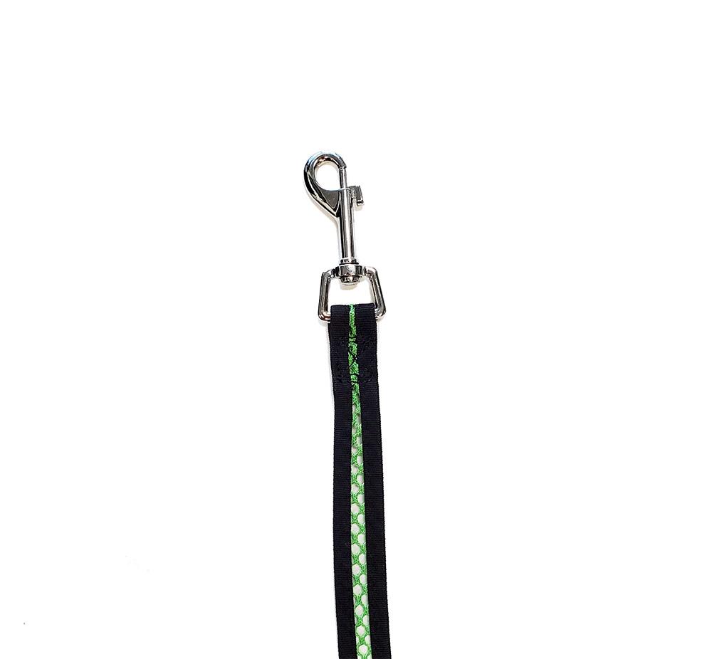 Bark Appeal Netted Dog Leash, Lime Green, 3/4-in x 5-ft