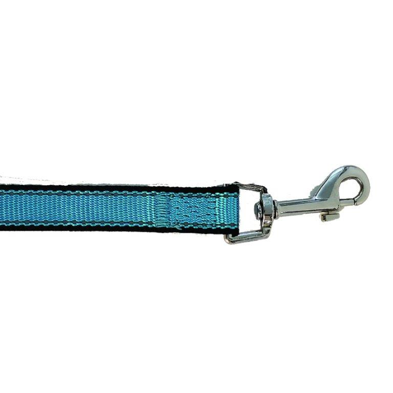 Bark Appeal Reflective Trim Dog Leash, Aqua Blue, 3/4-in x 5-ft