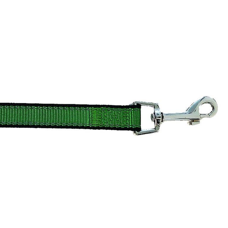 Bark Appeal Reflective Trim Dog Leash, Lime Green, 1-in x 5-ft