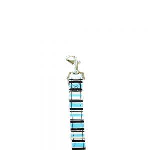 Bark Appeal Canvas Dog Leash, Blue Stripe