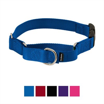 PetSafe Premier Quick Snap Martingale Dog Collar, Royal Blue, Small, 3/4-in