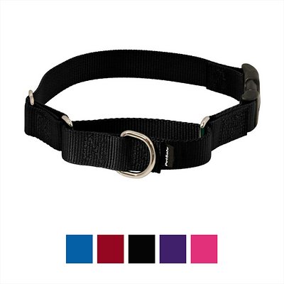 PetSafe Premier Quick Snap Martingale Dog Collar, Black, Large, 1-in