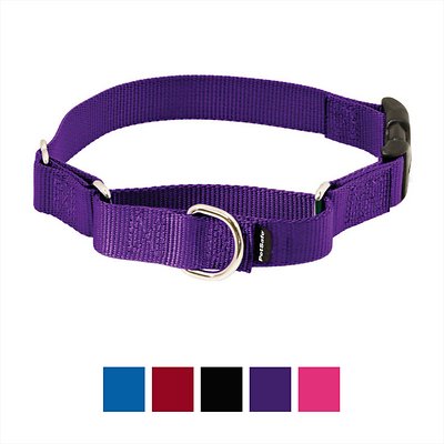 PetSafe Premier Quick Snap Martingale Dog Collar, Deep Purple, Small, 3/4-in