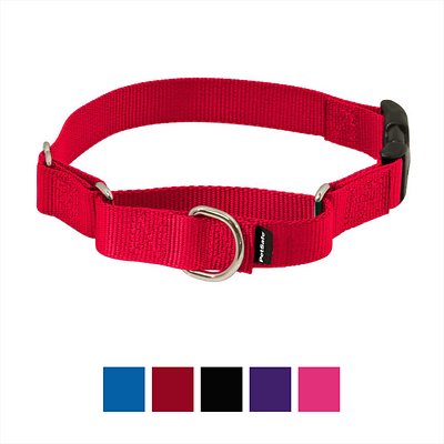 PetSafe Premier Quick Snap Martingale Dog Collar, Red, Small, 3/4-in