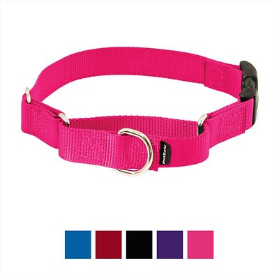 PetSafe Premier Quick Snap Martingale Dog Collar, Raspberry, Medium, 3/4-in