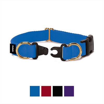 PetSafe Keep Safe Break-Away Dog Collar, Royal Blue, Medium, 1-in