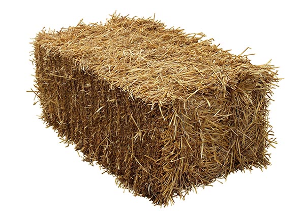 Bale of Hay