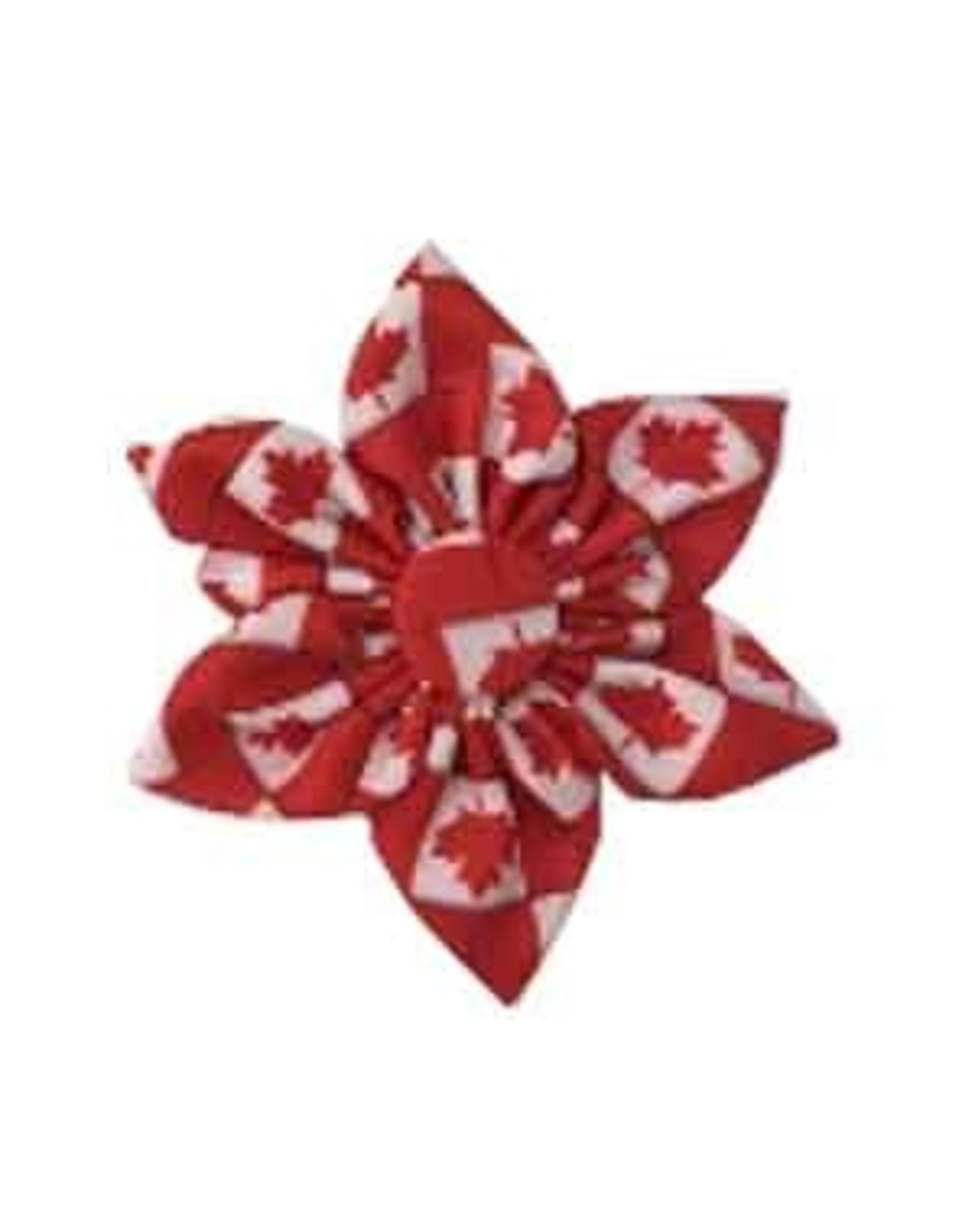 Huxley & Kent Pet Pinwheel, O Canada Red/White, Small