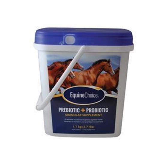 Animal Pro Products Equine Choice Prebiotic & Probiotic Granular