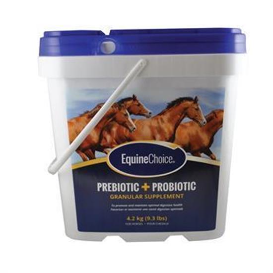 Animal Pro Products Equine Choice Prebiotic & Probiotic Granular, 1.2-Kg