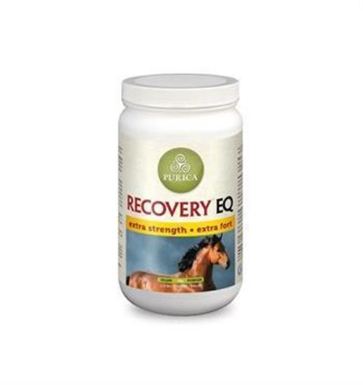 Purica Recovery EQ Extra Strength, 1-Kg