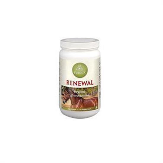 Purica Renewal, 1-Kg