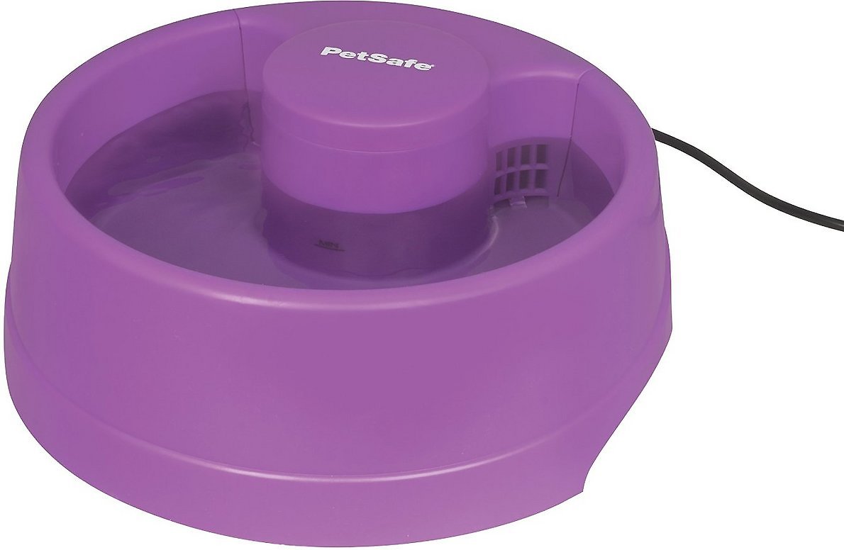 PetSafe Current Pet Fountain