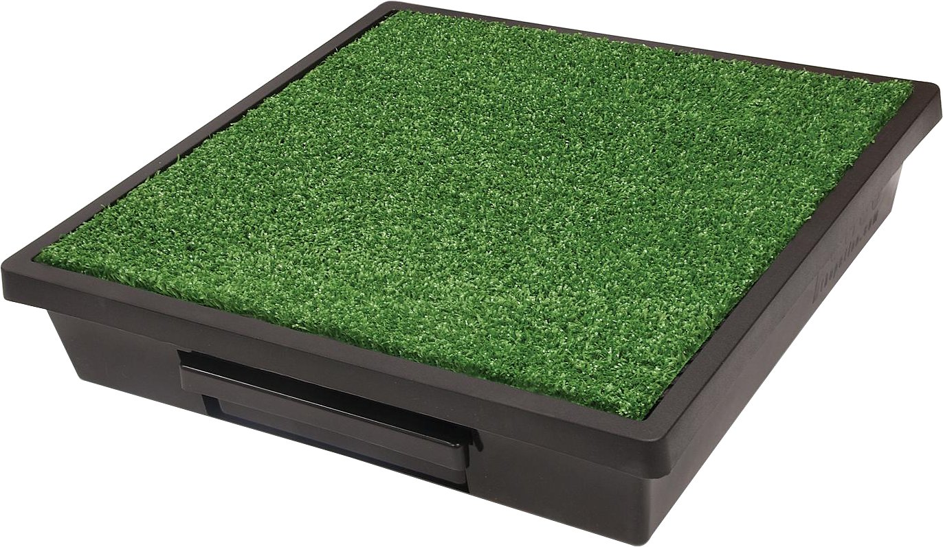 PetSafe Pet Loo Portable Indoor & Outdoor Dog Potty