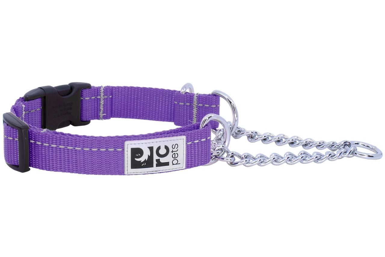 RC Pets Primary Training Clip Dog Collar, Purple, Medium