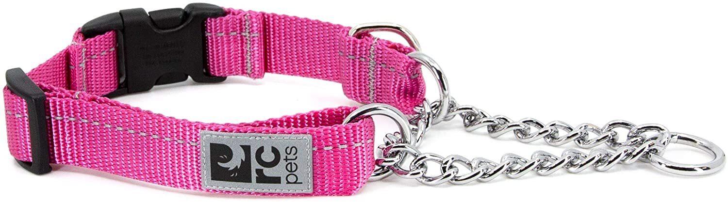RC Pets Primary Training Clip Dog Collar, Rasberry