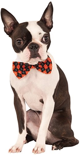 Rubie's Pet Shop Boutique Argyle Bow Tie, Medium-Large