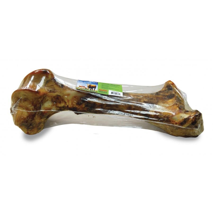 Bullsters T Rex Femur Dog Treats