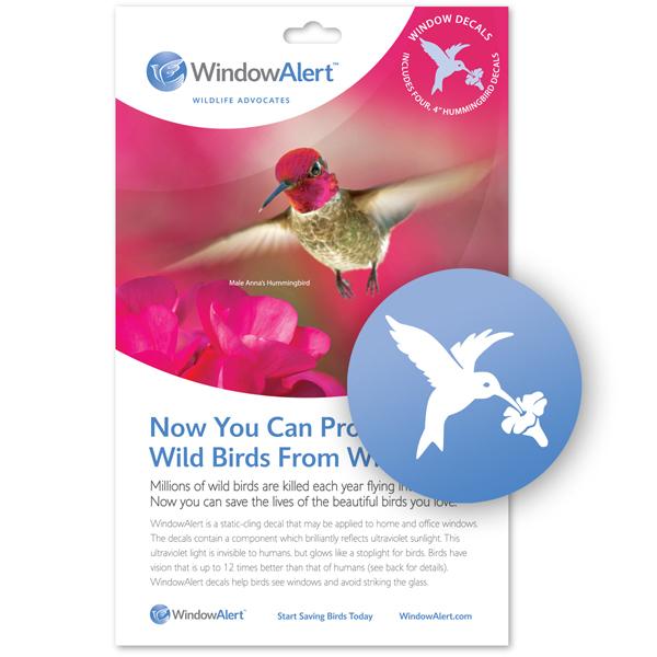 WindowAlert Hummingbird Decal