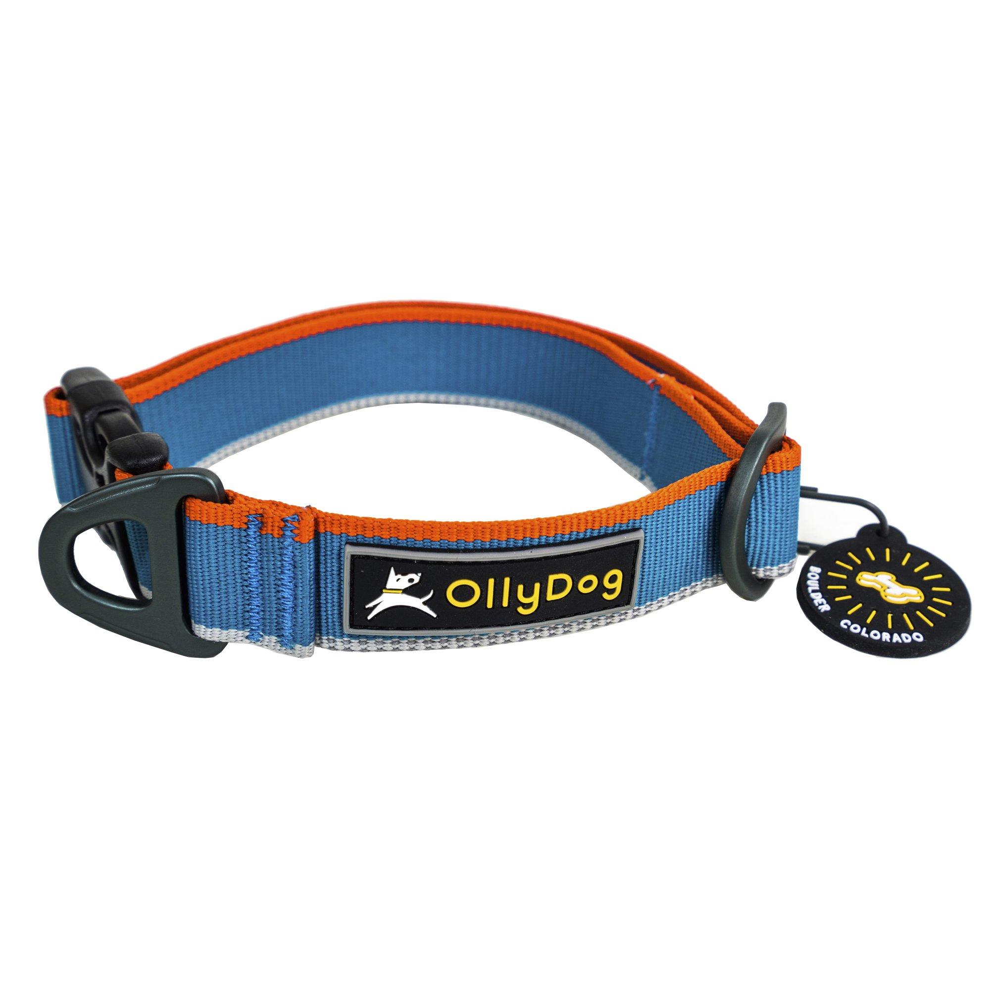 OllyDog Urban Trail Reflective Dog Collar, Air Blue, Large