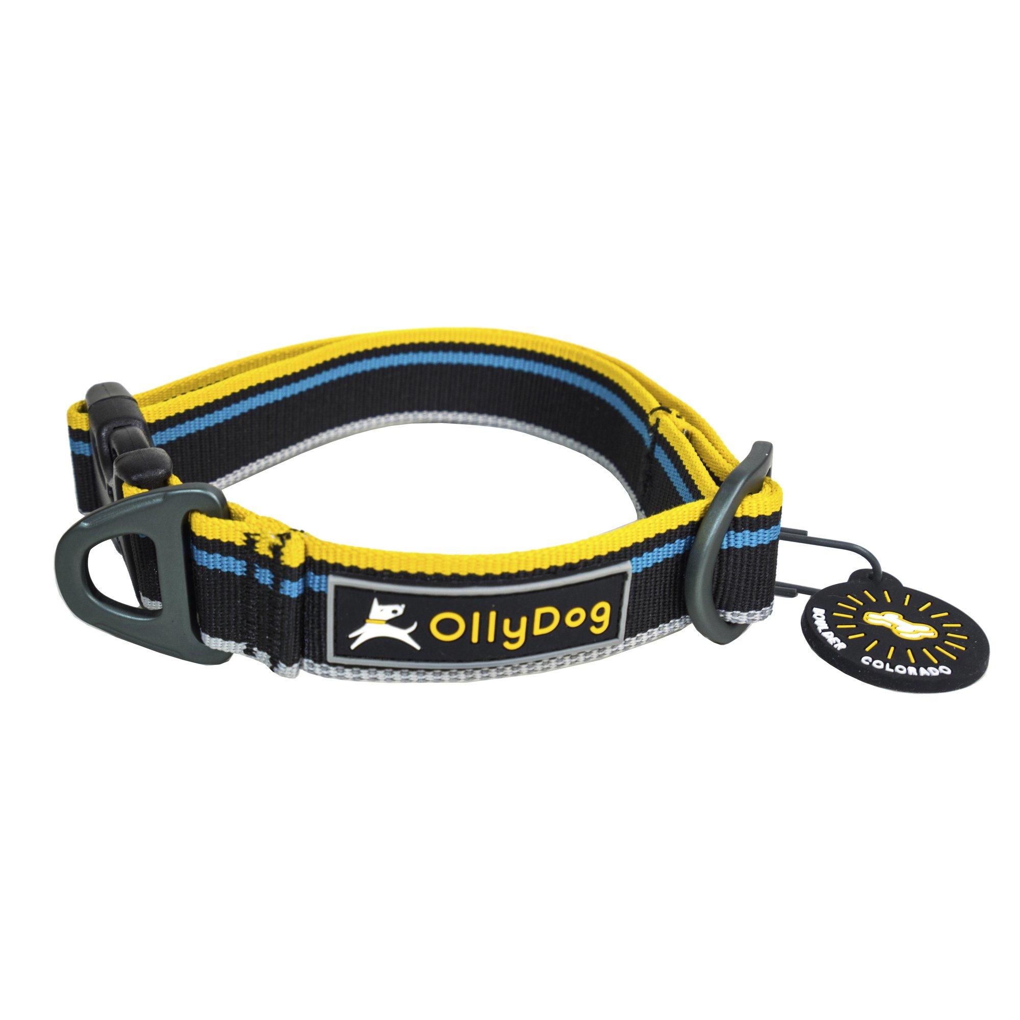 OllyDog Urban Trail Reflective Dog Collar, Anthracite, Small