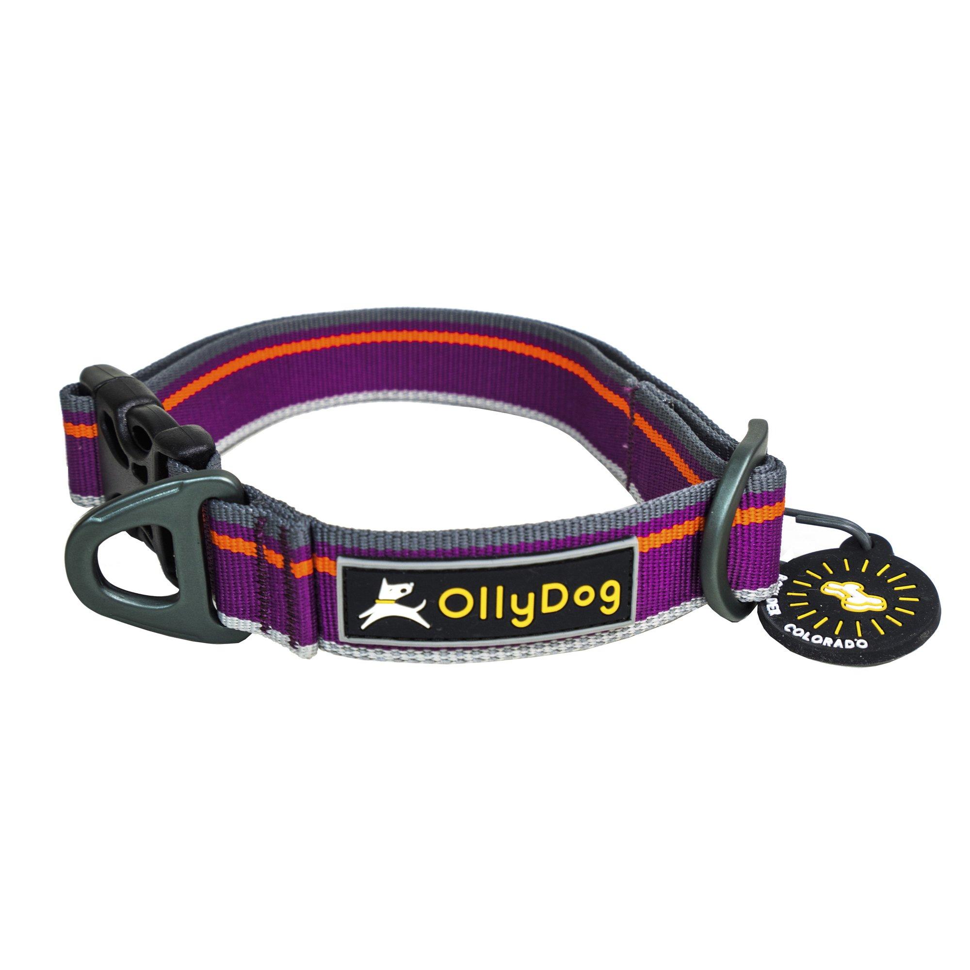 OllyDog Urban Trail Reflective Dog Collar, Wild Aster, Large
