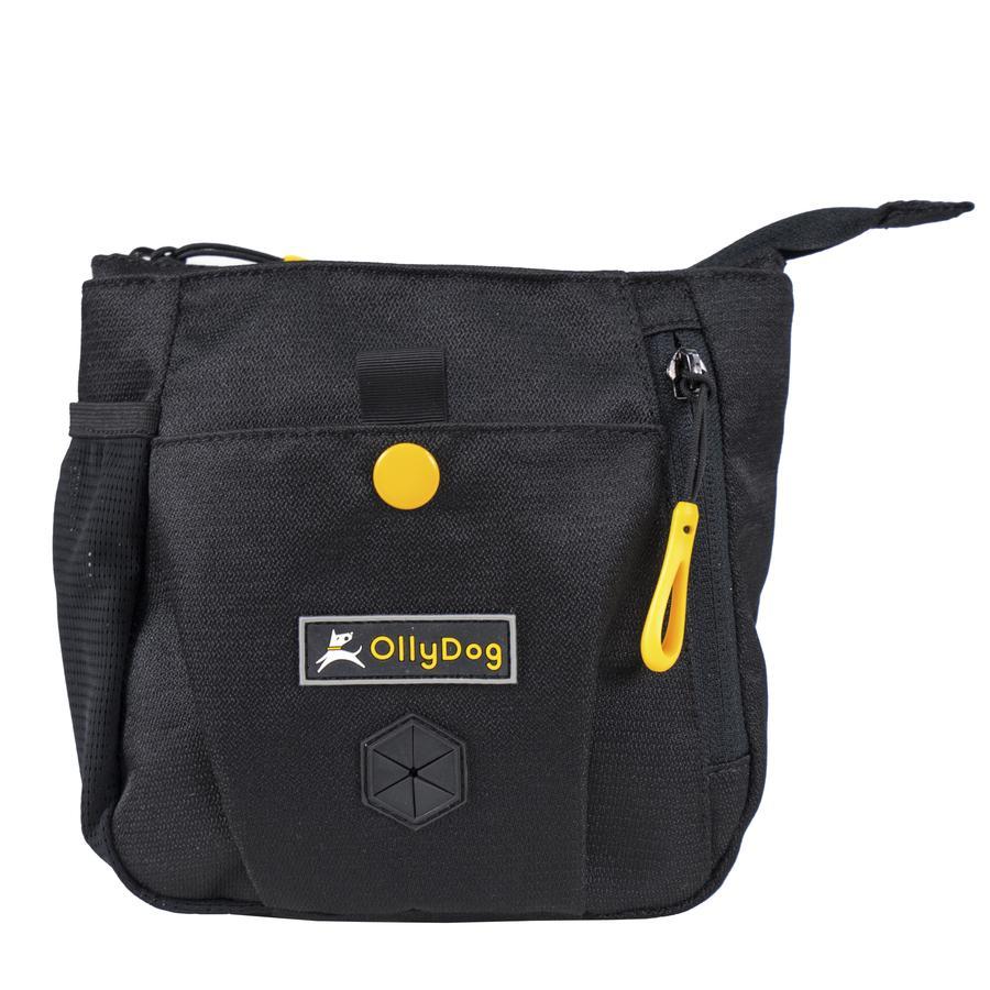 OllyDog Backcountry Day Bag for Dogs, Raven