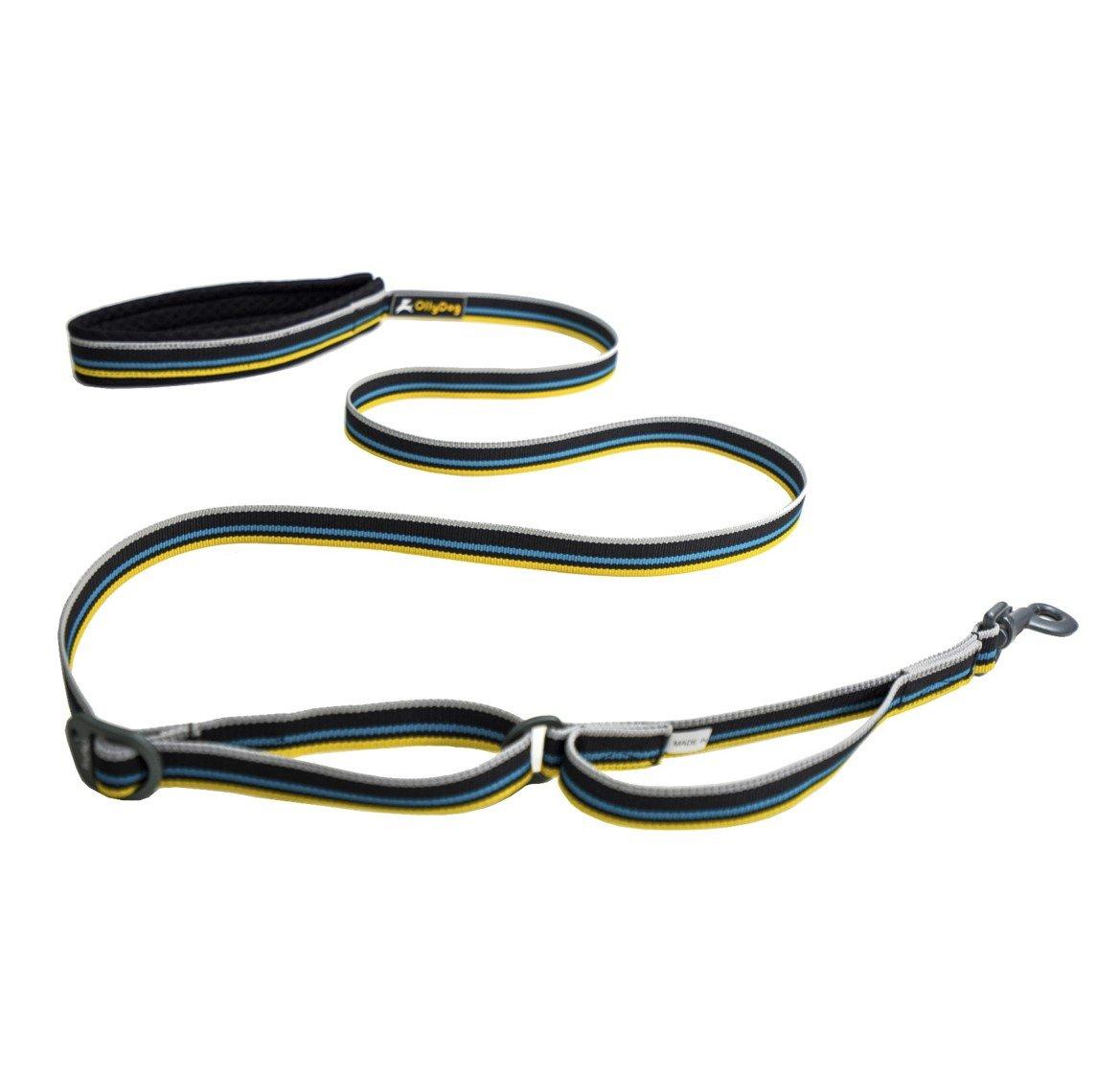 OllyDog Urban Trail Adjustable Reflective Dog Leash, Anthracite