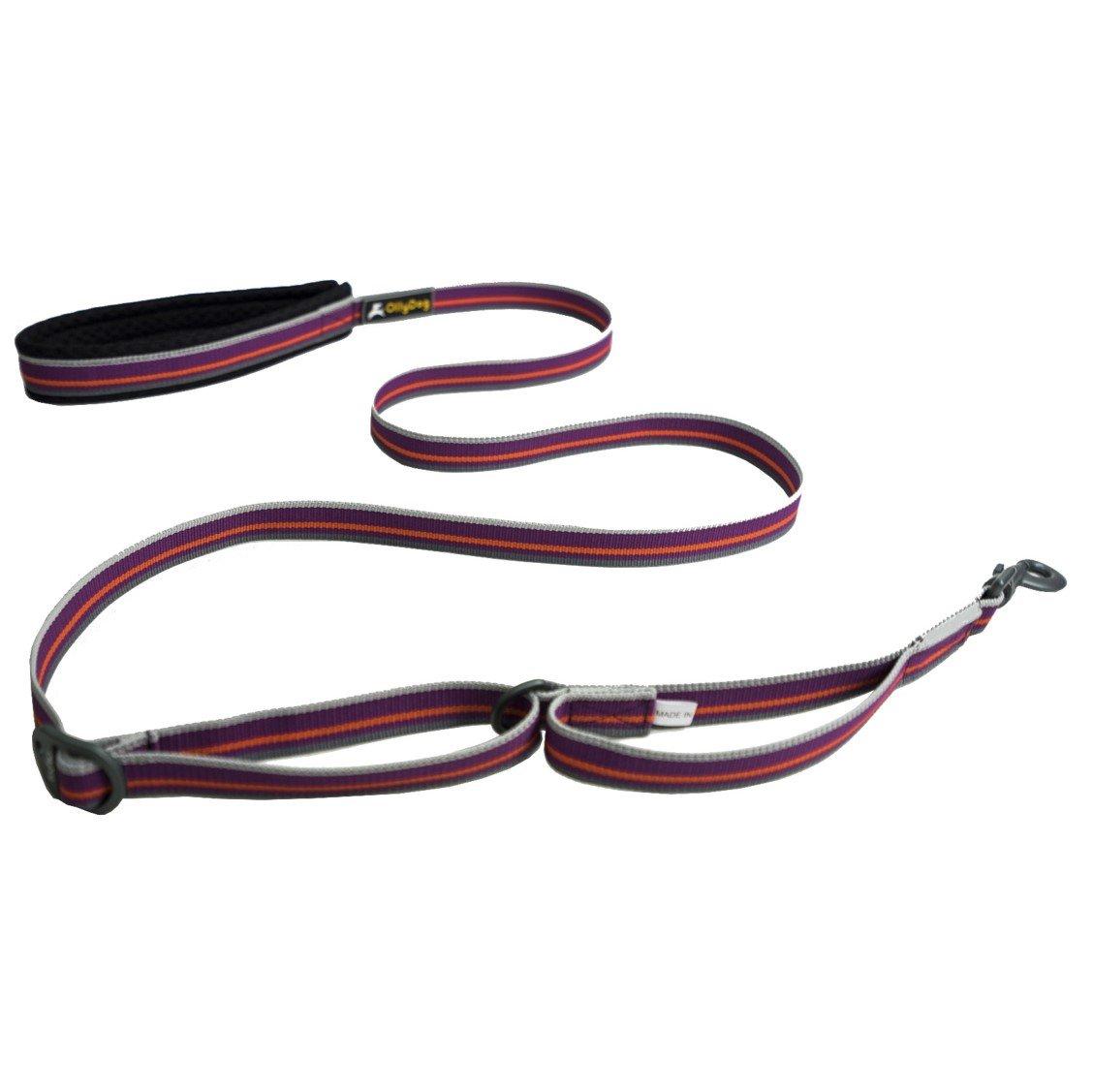 OllyDog Urban Trail Adjustable Reflective Dog Leash, Wild Aster