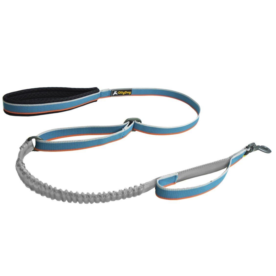 OllyDog Urban Trail Adjustable Reflective Spring Dog Leash, Air Blue